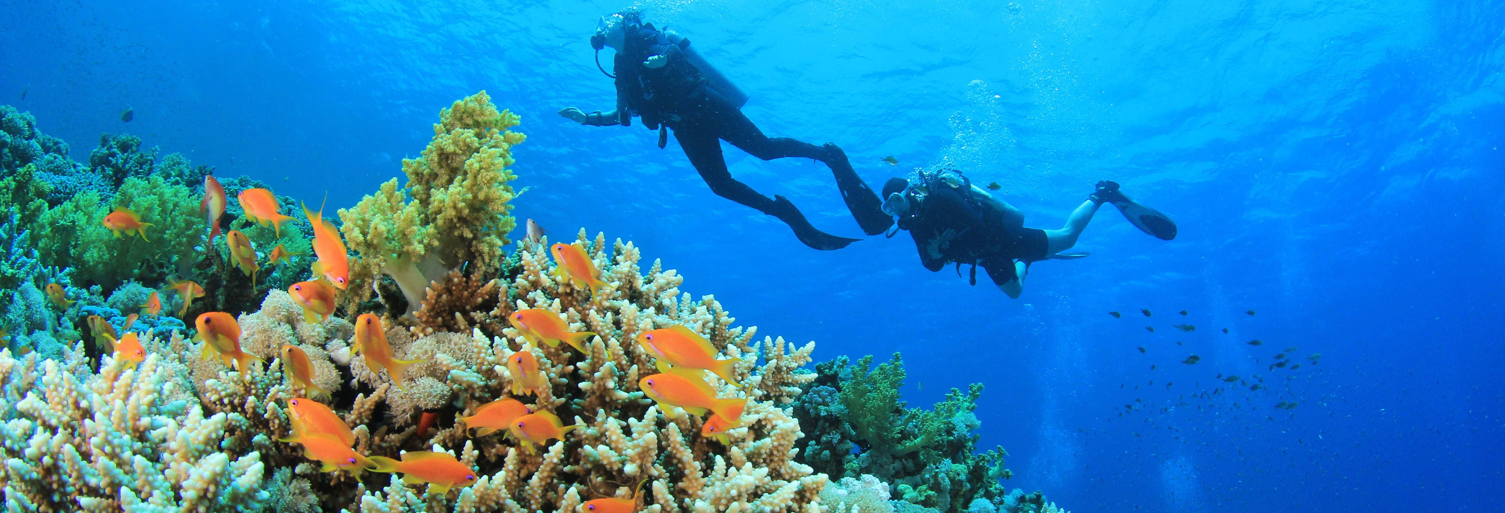 Bautismo de buceo en Addu