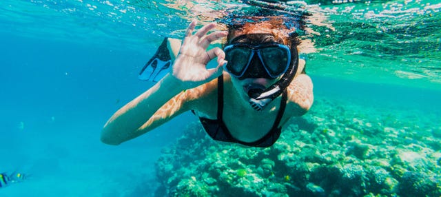 Snorkeling ad Addu