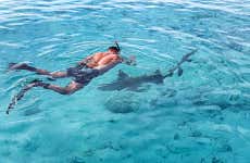 Snorkel em Dhiffushi