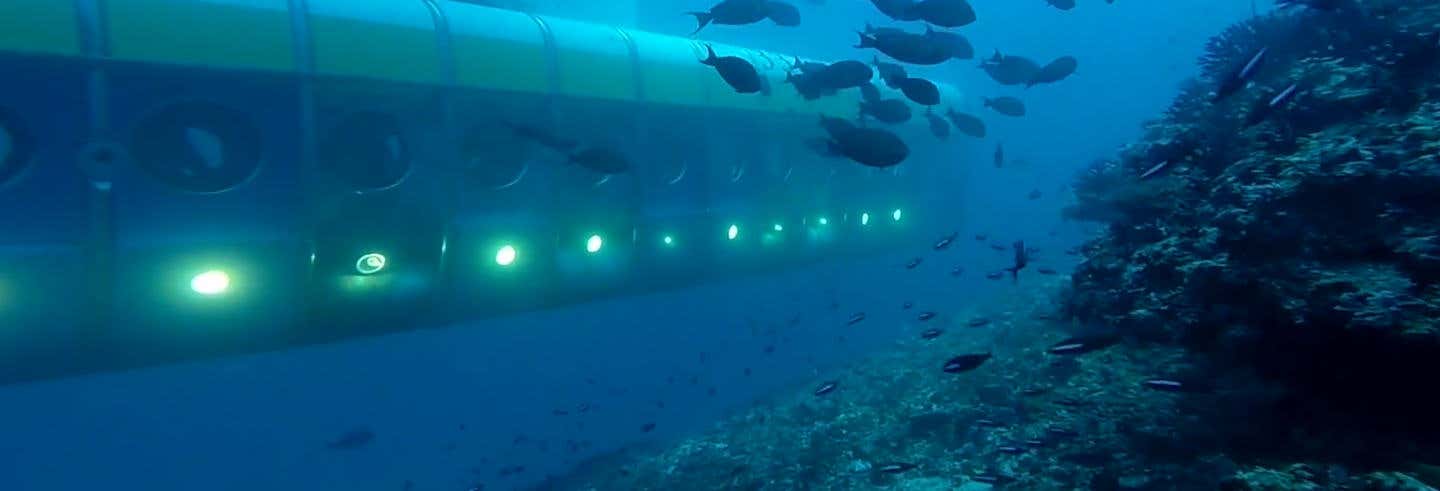 Passeio de submarino por Maafushi
