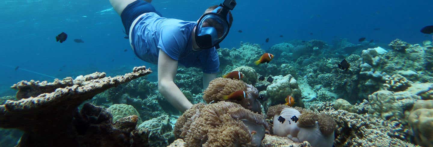 Snorkel en Maafushi + Avistamiento de delfines