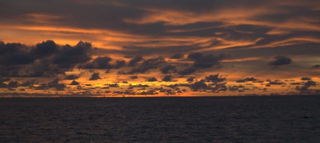 Balade en bateau au coucher de soleil + Snorkeling