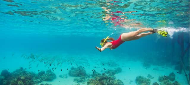 Snorkel nas Maldivas