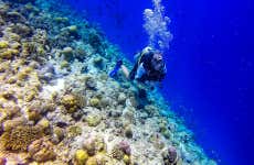 Bautismo de buceo en Rasdhoo