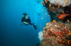 Corso sub PADI Open Water