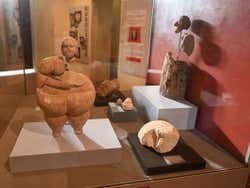 Collezione del Museo Nazionale di Archeologia