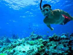 Snorkeling a Comino