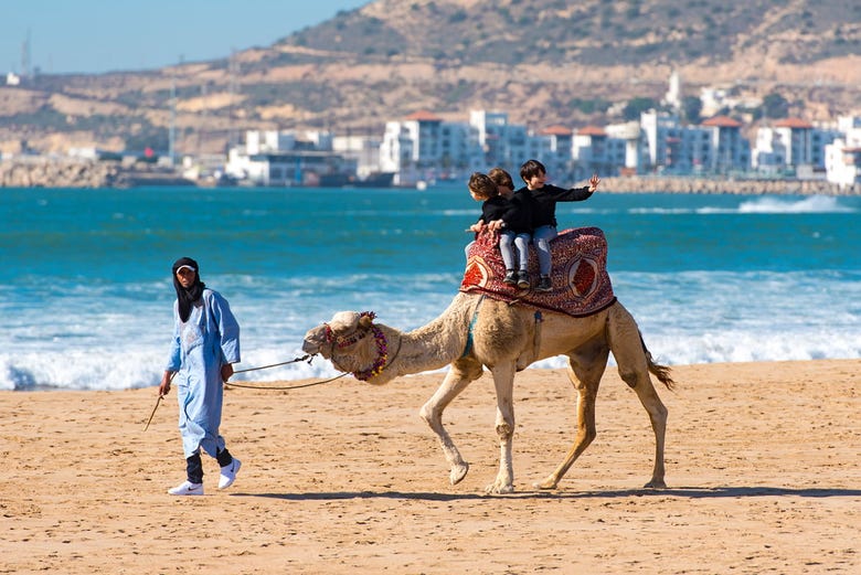 Agadir Camel Ride Book Online At Civitatis Com