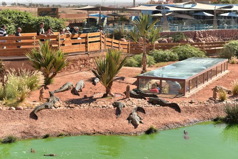 Crocopark, parque en Agadir