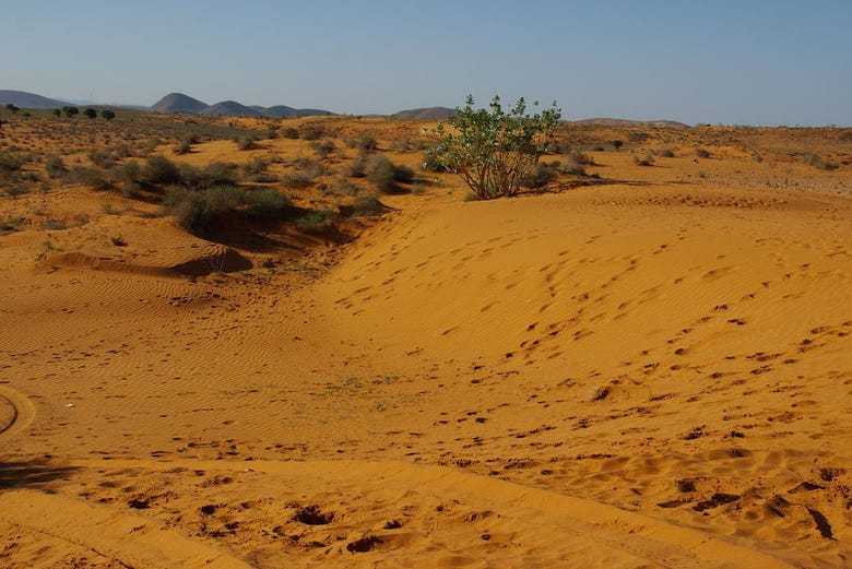 El desierto de Agadir