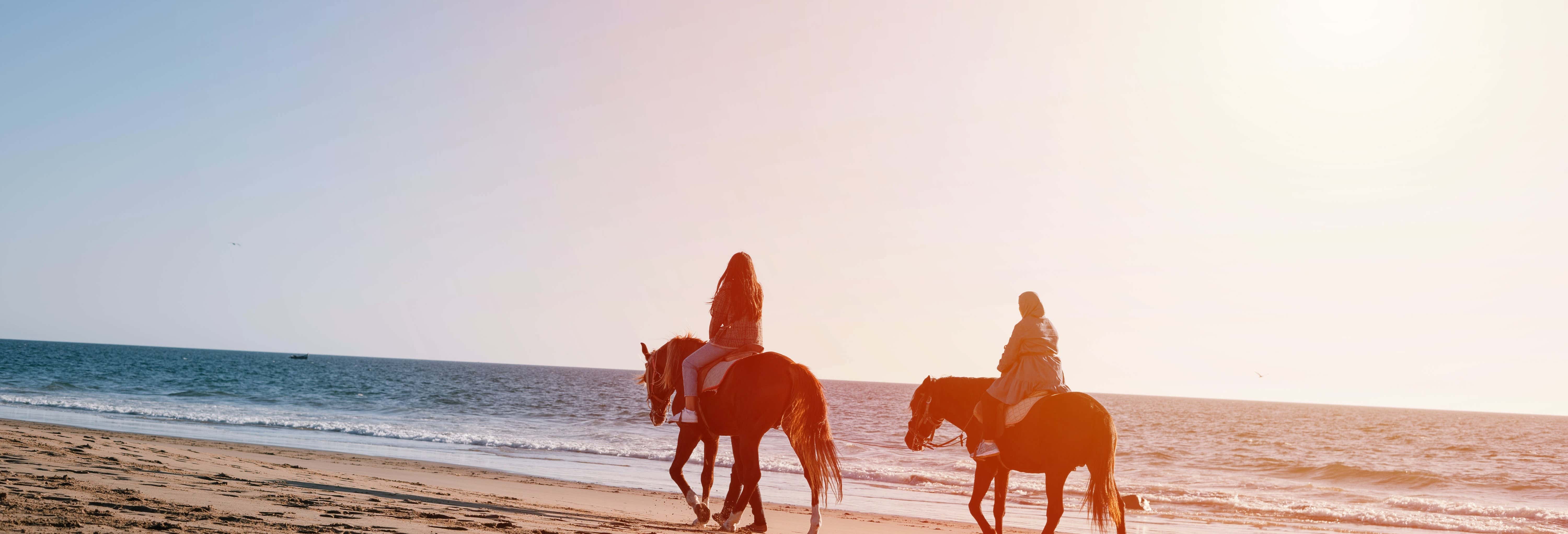 Beach Horse Ride In Agadir Book Online At Civitatis Com