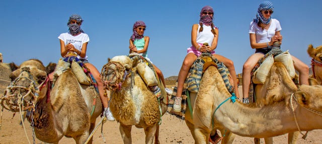 Passeio de camelo por Agadir