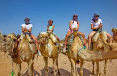 Paseo en camello por Agadir