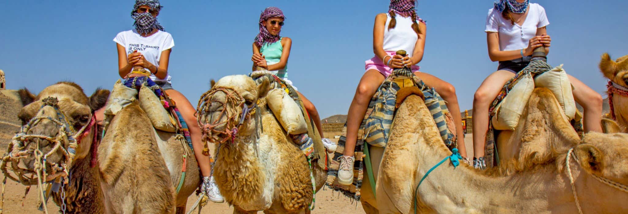 Agadir Camel Ride Book Online At Civitatis Com