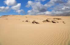 Tour en buggy por el desierto