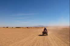 Agadir Quad Tour