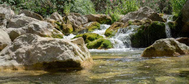 Excursion privée aux cascades d'Akchour
