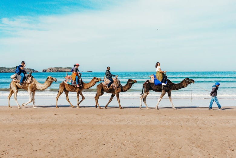 Paseo en camello por las playas de Esauira