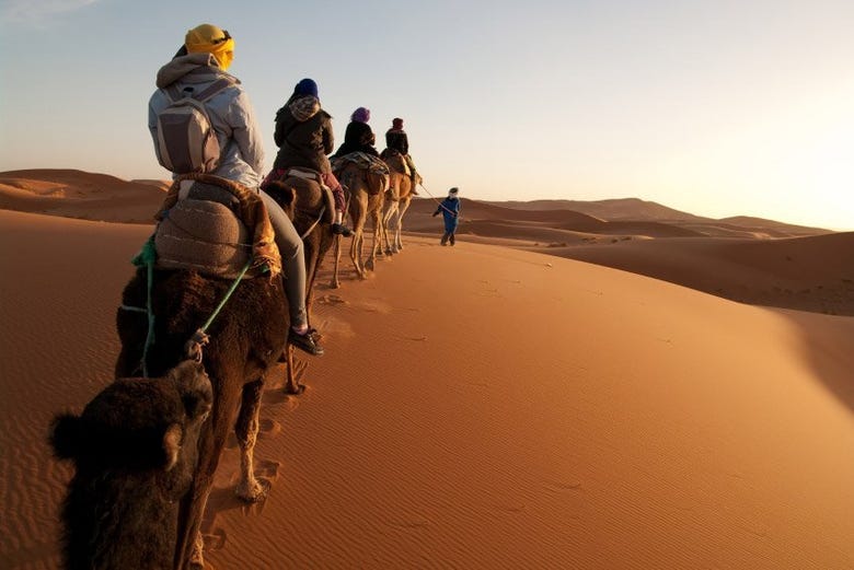 Exploring the desert on a camel