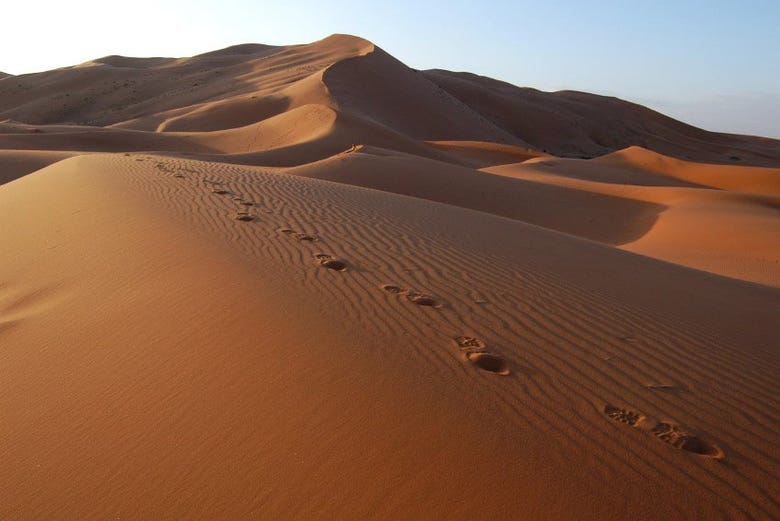 Dunes dans le désert de Merzouga 
