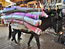 Âne transportant des tapis