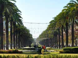 Ville Nouvelle, Avenida Hassan II