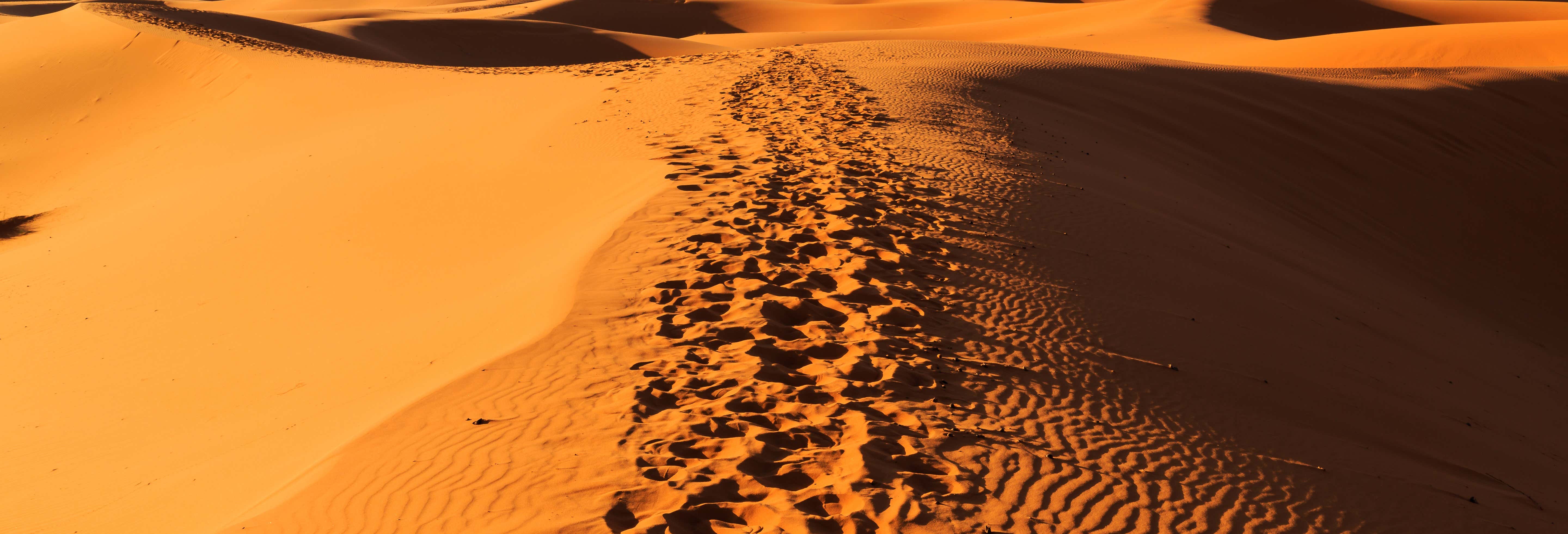 Excursión de 3 días al desierto de Merzouga acabando en Fez desde Marrakech