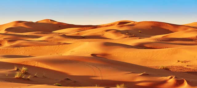 Escursione privata nel deserto