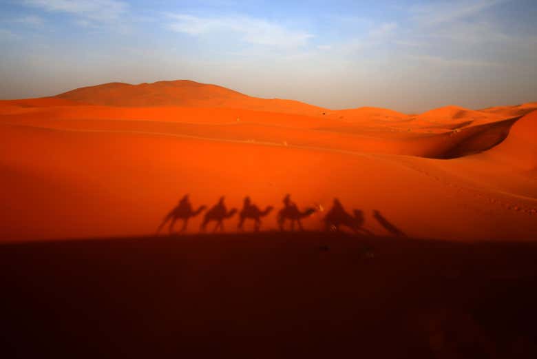 Silueta de los camellos en el desierto de Marrakech