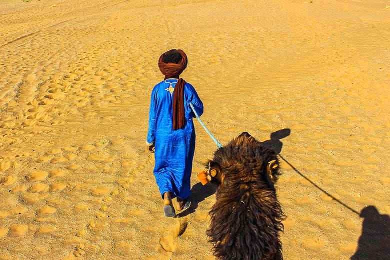 De camelo pelo deserto