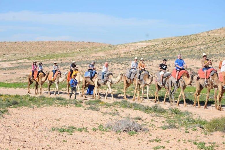 Balade à dos de chameau dans le désert d'Agafay
