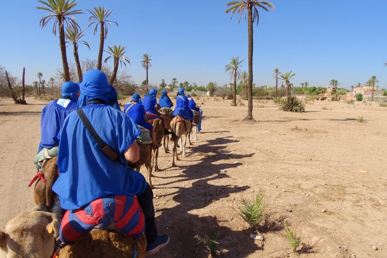 Tour in cammello a Marrakech