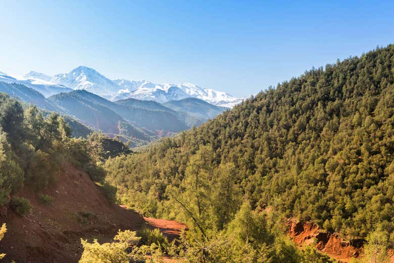 Excursión Al Valle Del Ourika Desde Marrakech