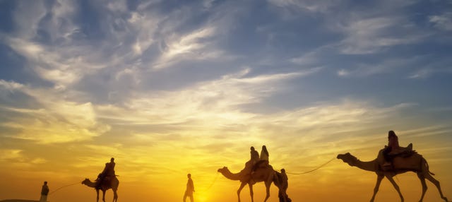 Balade à dos de chameau dans le désert avec dîner-spectacle