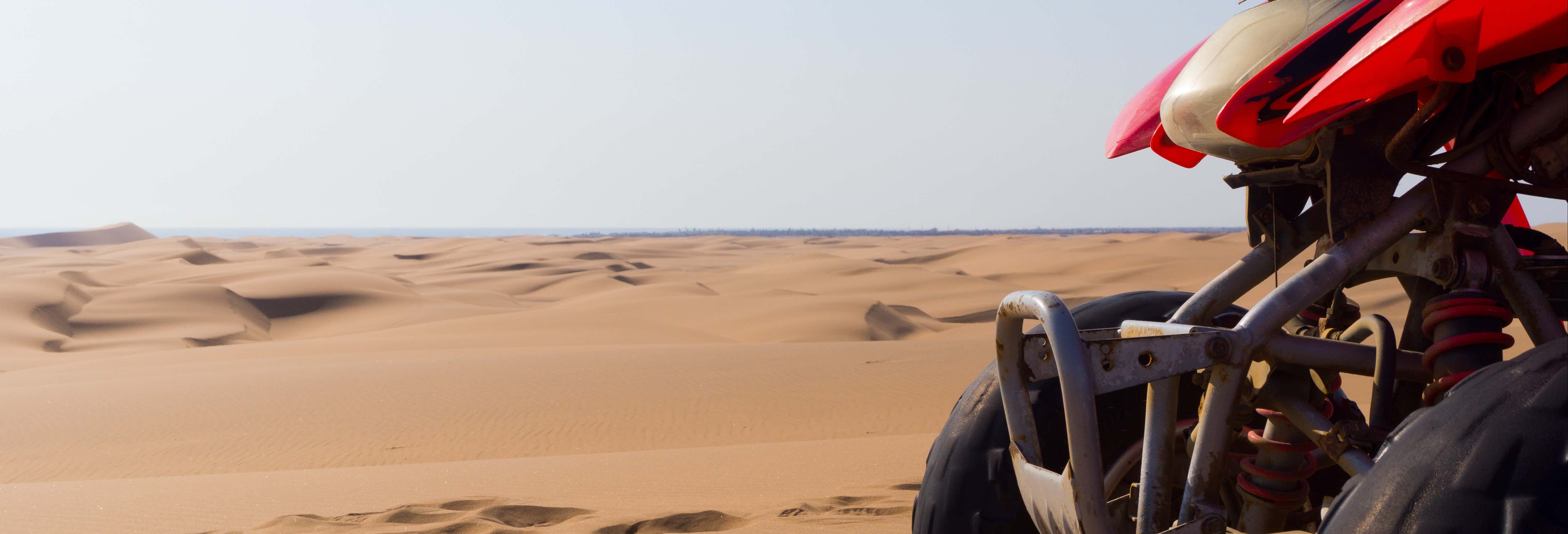 Tour in quad nel Palmeto di Marrakech
