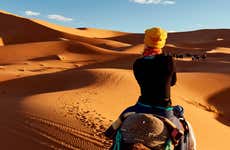 Passeio de camelo e noite no deserto