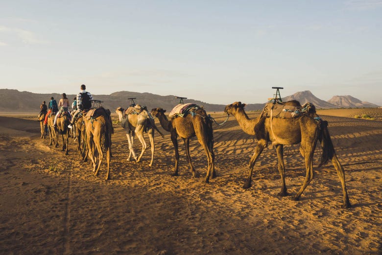 Paseo en camello por el desierto de Zagora