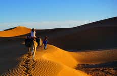 Passeio de camelo e noite no deserto
