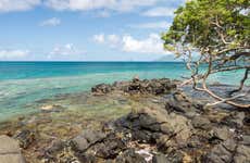 Le Marin & Sainte-Anne Tour