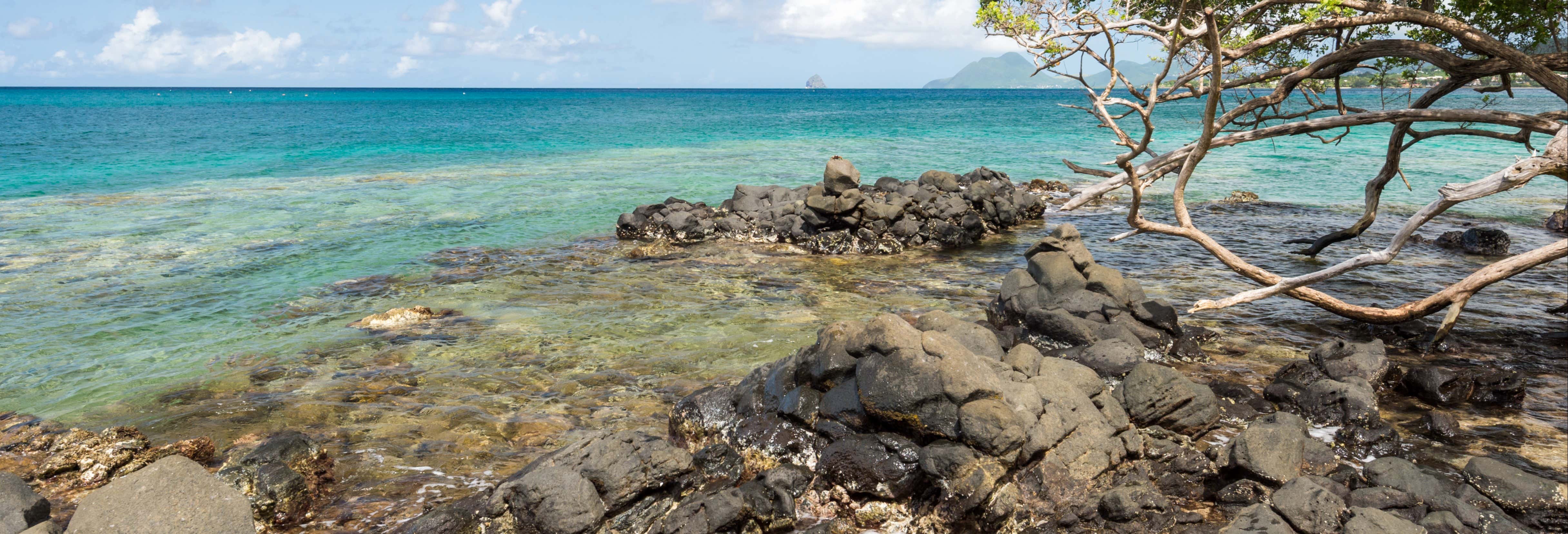 Excursión a Le Marin y Sainte-Anne