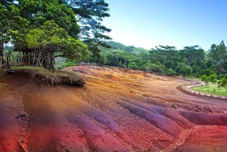 Foto de la experiencia