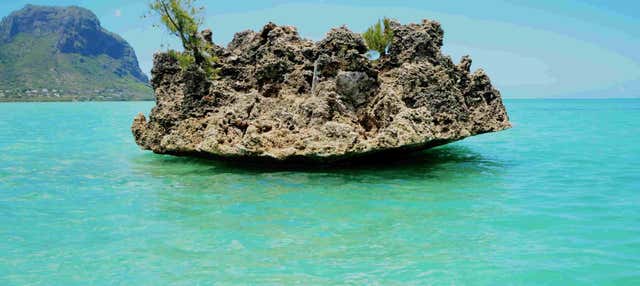 Excursion à l'île aux Benitiers en catamaran