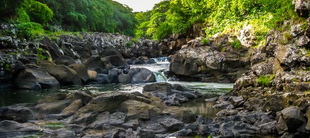 Trilha pelo Parque Nacional Gargantas do Rio Negro