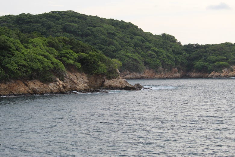 Vegetación de la isla de La Roqueta