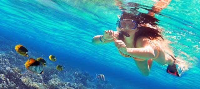 Snorkel na ilha de Enmedio
