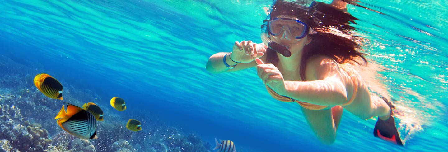 Excursión en snorkel en la isla de Enmedio desde Boca del Río