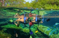 Excursión al parque natural Xel-Há