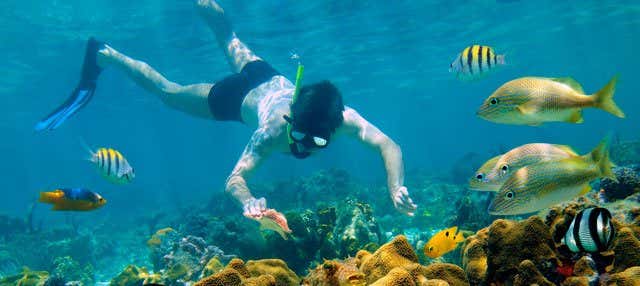 cozumel