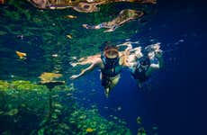 Tour por los cenotes de Cancún