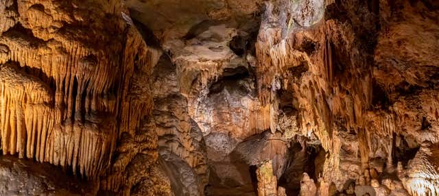 Tour por las grutas Nombre de Dios + Quinta Carolina